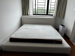 Astor Green (D21), Condominium #455515691